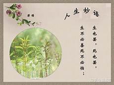 诗词起名