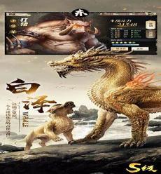 战神狂飙空的真实身份
