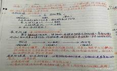 进去暗位面基因系统