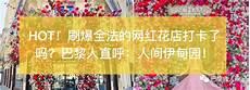 什么是紫藤萝花